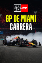 GP de Miami (Miami): GP de Miami: Carrera