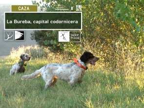 Imagen de La Bureba, capital codornicera - 2