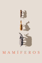Imagen de Mamíferos - 1