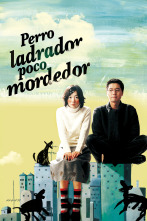 Imagen de Perro ladrador, poco mordedor - 1