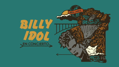 Imagen de Billy Idol en concierto - 2