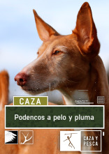 Imagen de Podencos a pelo y a pluma - 1