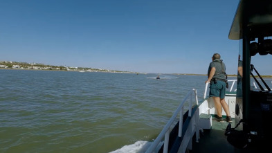 Imagen de Alerta en el mar 2: Patrullando en aguas turbulentas - 1