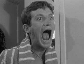 Imagen de Al final de la escapada - 11