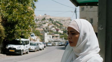 Imagen de Los informes sobre Sarah y Saleem - 9