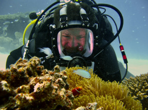 Imagen de Barreras de coral en peligro - 6