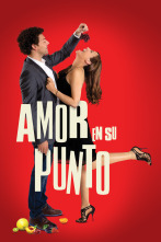 Imagen de Amor en su punto - 1