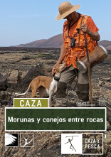Imagen de Morunas y conejos entre rocas - 1