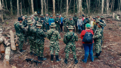 Imagen de Perdidos en el Amazonas - 4