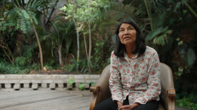 Imagen de Perdidos en el Amazonas - 5
