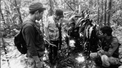 Imagen de Perdidos en el Amazonas - 11