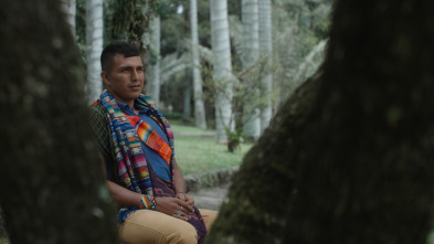 Imagen de Perdidos en el Amazonas - 12