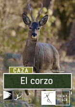 Imagen de El Corzo (T1) - 1