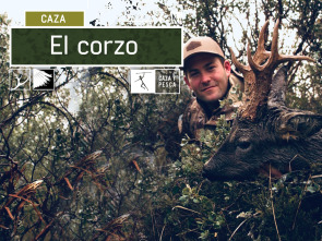 Imagen de El Corzo (T1) - 2