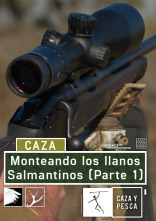Imagen de Monteando los llanos salmantinos 1º parte - 1