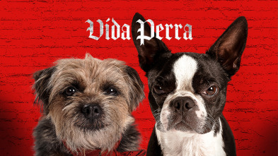 Vida perra