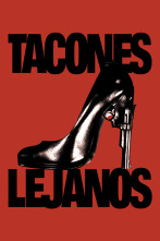 Imagen de Tacones lejanos - 1