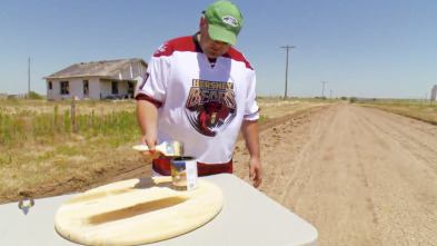 Imagen de Dulces e increíbles (T9): Mulas lentas y coches rápidos - 1