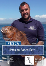 Imagen de Urtas en Sancti Petri - 1