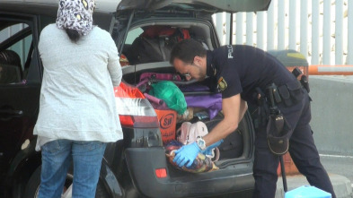 Imagen de 091: Alerta Policía (T1): Ep.8 - 1