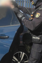 Imagen de 091: Alerta Policía (T5): Ep.12 - 2