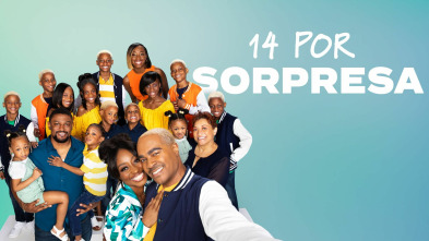 Imagen de 14 por sorpresa (T4) - 2