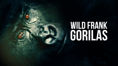 Imagen de Wild Frank Gorilas  - 2