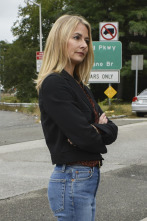 Imagen de Los casos de Anna-Sigga Nicolazzi  - 6