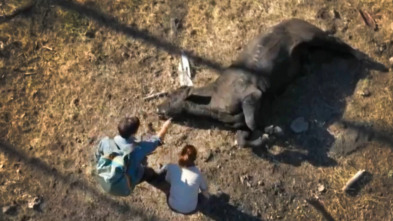Imagen de Expedición X (T2): Emboscada en Death Ranch - 1