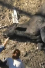 Imagen de Expedición X (T2): Emboscada en Death Ranch - 2
