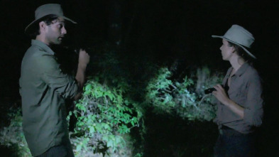Imagen de Expedición X (T2): Fantasmas en el pantano - 1