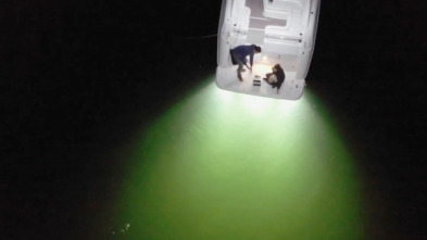 Imagen de Expedición X (T2): El monstruo americano del lago - 1