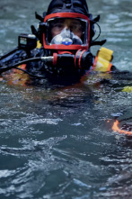 Imagen de La fiebre del oro:...: Corta y corre - 2