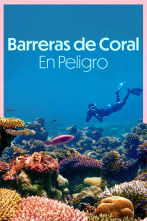 Barreras de coral en peligro