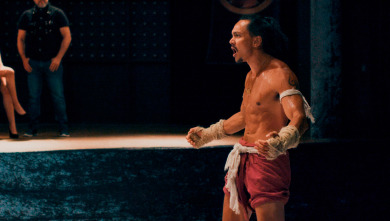 Imagen de Su último combate - 14