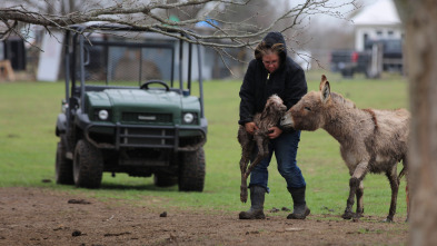Imagen de Sobrevivir en lo... (T10): Todas mis tensiones viven en Texas - 2
