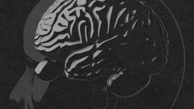 Imagen de Tu cerebro  - 13