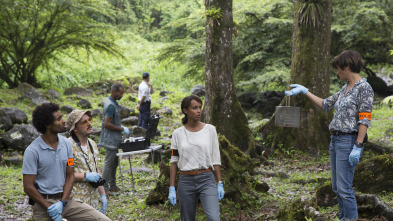 Imagen de Crimen en el trópico (T1): Ep.3  - 1