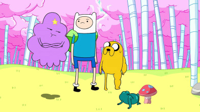 Imagen de Hora De Aventuras (T1): Apuros en el Espacio Bultos - 2
