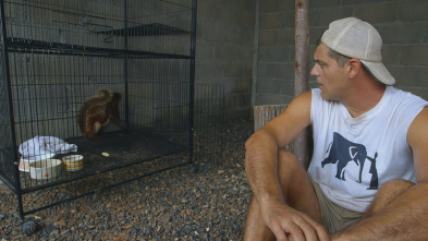 Imagen de Wild Frank al rescate: Ep.4 - 2