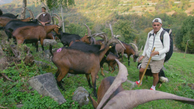 Imagen de Wild Frank en Italia: Ep.2 - 2