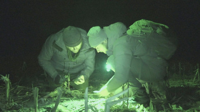 Imagen de Expedition X (T3): Un hombre lobo americano - 2
