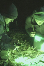 Imagen de Expedition X (T3): Un hombre lobo americano - 1