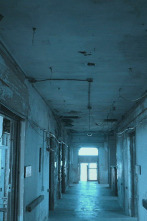 Imagen de Destino terror (T4): Urbanización Ashmore - 1