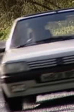 Joyas sobre ruedas,...: Peugeot 205 Parte 1