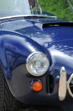 Imagen de Joyas sobre ruedas (T9): Cobra - 1
