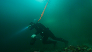 La pesca del oro,...: Oro frío