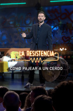 Imagen de Lo + del público (T7): Cerdos felices 28.05.24 - 1
