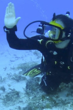 Imagen de Expedición al pasado,...: En busca de los pilotos perdidos de la Segunda Guerra Mundial - 1