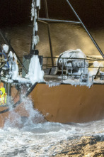 Imagen de Pesca radical: La supervivencia del más apto - 2